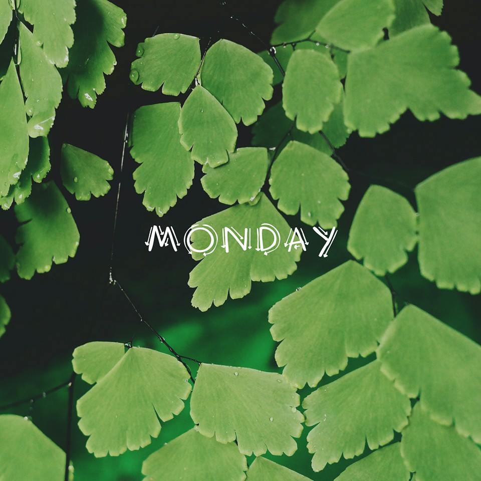 Monday by Nico Wijaya